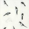 Sketches