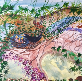 Watercolour Paintings